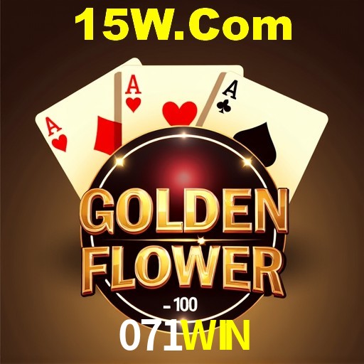 Programa VIP 071WIN